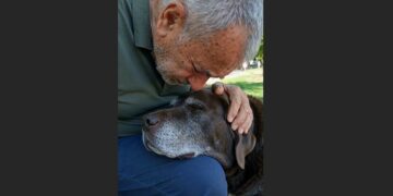For Four Years, I Took the Same Rescue Dog to 27 Adoption Events. Nobody Wanted Him. Then One Afternoon, He Rested His Gray Muzzle on My Knees—and I Realized I’d Been Trying to Give Away My Best Friend.