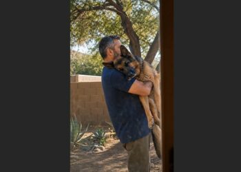 Every Morning at 10:45, a Retired K9 Officer Carried His Aging German Shepherd Outside to Sit in the Sunshine. For Ten Months, His Neighbor Watched—Until One February Morning, the Routine Came to an End.