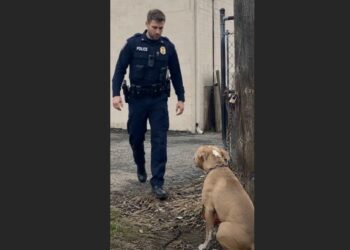 Deputy Cole Harris Thought He Was Responding to a Broken Lock. Behind an Old Feed Store, He Found a Frightened Dog Chained to a Pole, and Everything About That Afternoon Changed.