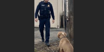 Deputy Cole Harris Thought He Was Responding to a Broken Lock. Behind an Old Feed Store, He Found a Frightened Dog Chained to a Pole, and Everything About That Afternoon Changed.