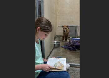 Every Thursday, a Little Girl Sat Outside the Kennel of a Dog Nobody Wanted and Read Him Stories. Her Family Couldn’t Adopt Him—But One Afternoon, the Frightened Dog Finally Came Forward.