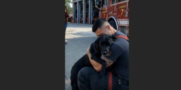 Two Months After a Firefighter Carried Him Out of a Burning House, a Rescued Black Lab Returned to the Station. The Moment He Saw the Man Who Saved Him, Everything Changed.