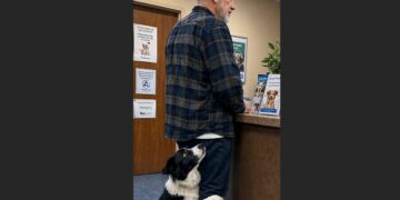 Three Weeks After Being Adopted, Milo Went to the Vet With His New Owner. When Ray Reached for His Wallet, the Rescue Dog Wrapped Both Paws Around His Leg—and Refused to Let Go.