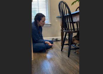 Luna Had Been Overlooked at the Shelter for So Long That Volunteers Stopped Saying “When She Gets Adopted.” Then a Woman Named Linda Took Her Home—and Spent the First Evening Sitting on the Kitchen Floor.