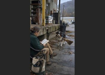 Every Morning, a Stray Australian Shepherd Waited Outside a Hardware Store With an Old Broom in His Mouth. When a Volunteer Found One Letter Carved Into the Handle, She Discovered Who He Was Waiting For.