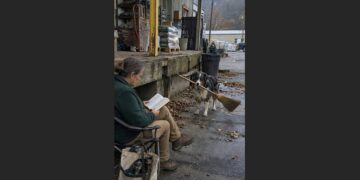 Every Morning, a Stray Australian Shepherd Waited Outside a Hardware Store With an Old Broom in His Mouth. When a Volunteer Found One Letter Carved Into the Handle, She Discovered Who He Was Waiting For.