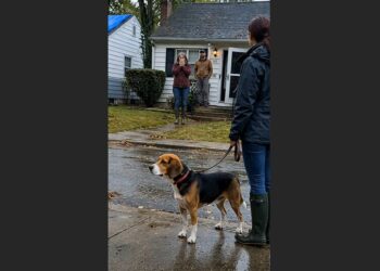 For Three Months, Sarah Left Her Porch Light On for the Dog Who Disappeared During a Storm. Then a Rescue Volunteer Found Him 20 Miles Away—and Brought Him Back to the House He Had Never Forgotten.