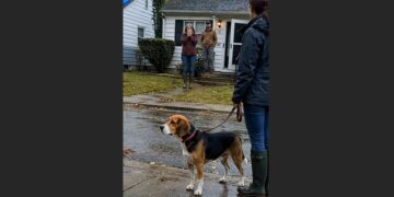 For Three Months, Sarah Left Her Porch Light On for the Dog Who Disappeared During a Storm. Then a Rescue Volunteer Found Him 20 Miles Away—and Brought Him Back to the House He Had Never Forgotten.