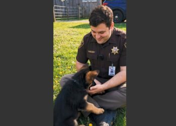 I Was Shot Three Times During a Traffic Stop in Ohio. My German Shepherd K9 Took a Bullet, Dragged Me 47 Feet to Safety, and Saved My Life. Five Years Earlier, He Was the Last Puppy Nobody Wanted.