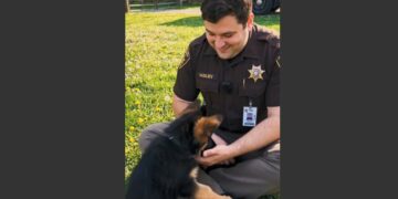 I Was Shot Three Times During a Traffic Stop in Ohio. My German Shepherd K9 Took a Bullet, Dragged Me 47 Feet to Safety, and Saved My Life. Five Years Earlier, He Was the Last Puppy Nobody Wanted.