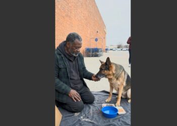 I Saw a Viral Video of a Homeless Man Feeding His Dog Before Himself. Then I Recognized His Face—and Realized I Had Fired Him Eight Years Earlier.
