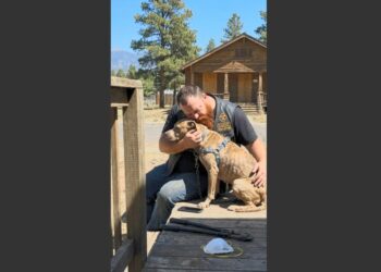 A Biker Held a Starving Pit Bull on an Abandoned Porch for 30 Minutes. When Someone Asked Why He Was Crying, His Answer Revealed a Childhood Secret He’d Kept for Decades.