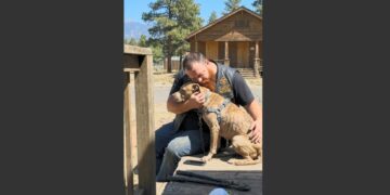 A Biker Held a Starving Pit Bull on an Abandoned Porch for 30 Minutes. When Someone Asked Why He Was Crying, His Answer Revealed a Childhood Secret He’d Kept for Decades.