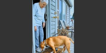 My Neighbor’s Pit Bull Kept Showing Up on My Porch After My Husband Died. Six Years Later, I Found His Old Journal—and Finally Understood Why That Dog Had Come Into My Life.
