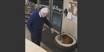 His Boss Ordered Him to Put the Stray Dog Back Outside in the Freezing Cold. Five Weeks Later, That Same Dog Saved His Life at 3:07 A.M. 