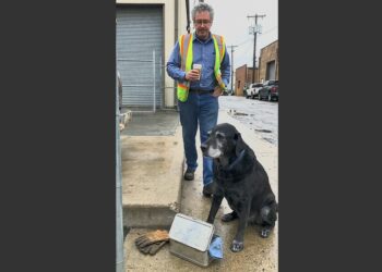 For 12 Years, an Old Black Labrador Waited Outside a Factory for His Owner’s Lunch Break. Then One Monday, the Man Never Came Back.