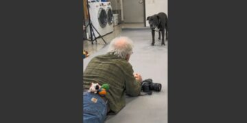 A 9-Year-Old Pit Bull Had Been Overlooked for More Than a Year Because of One Terrible Photograph. Then a Retired Photographer Lay Down on the Floor Beside Him. 