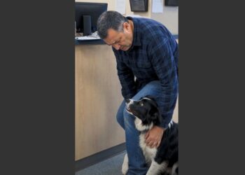 A Rescue Dog Wrapped Both Paws Around His Owner’s Leg at the Vet. When the Man Realized Why He Was So Frightened, He Put Down the Paperwork and Knelt Beside Him.