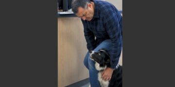 A Rescue Dog Wrapped Both Paws Around His Owner’s Leg at the Vet. When the Man Realized Why He Was So Frightened, He Put Down the Paperwork and Knelt Beside Him. 