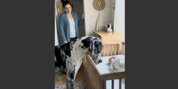 She Was Worried Their 140-Pound Great Dane Would Be Too Big Around Their Newborn. Then She Found Him Beside the Crib at 3 A.M.