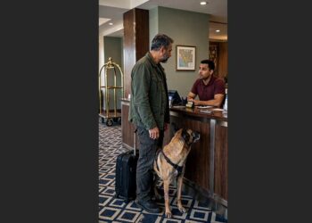 The Hotel Clerk Looked at My Scarred Belgian Malinois and Asked if He Really Needed to Come Inside—He Had No Idea What Ranger Had Survived