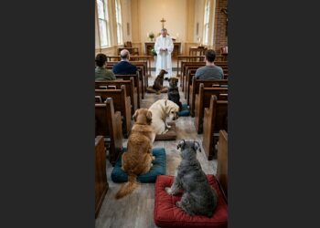 Five Dogs Sat Through an Entire Church Service Without a Single Bark—Then Came the Sign of Peace