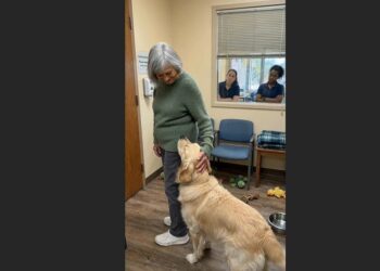 A 71-Year-Old Widow Said She Wasn’t Ready to Adopt. Then a Shelter Dog Gently Took Hold of Her Sleeve.