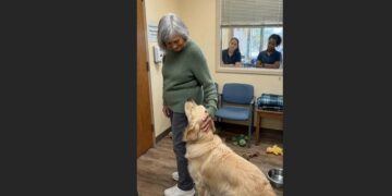 A 71-Year-Old Widow Said She Wasn’t Ready to Adopt. Then a Shelter Dog Gently Took Hold of Her Sleeve.