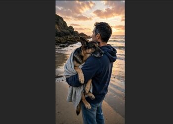 Oscar Taught Me How to Live Again—When His Legs Could No Longer Carry Him, I Carried Him to the Beach One Last Time