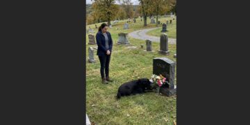 A Strange Dog Sat Beside My Son’s Grave Every Sunday—Then One Day, I Followed Him