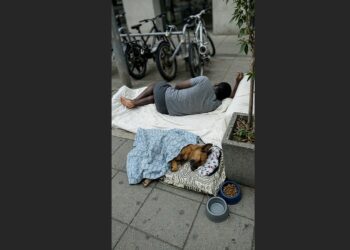 They Saw People Living on Rio’s Streets Caring for Abandoned Dogs—So They Built a Shelter to Give Both a Second Chance