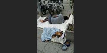 They Saw People Living on Rio’s Streets Caring for Abandoned Dogs—So They Built a Shelter to Give Both a Second Chance