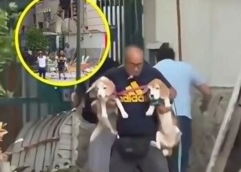 After Venezuela’s Earthquakes, One Man Clutched a Dog in His Arms. Nearby, Firefighters Pulled Another From the Rubble