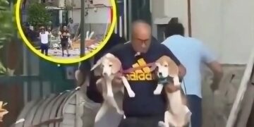 After Venezuela’s Earthquakes, One Man Clutched a Dog in His Arms. Nearby, Firefighters Pulled Another From the Rubble
