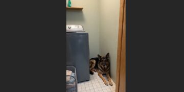 The First Night Hazel Had a Whole House, She Slept Between the Washing Machine and the Wall