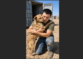 She Spent Four Days Trapped Inside a Rusted Metal Container Without Water—When the Door Finally Opened, She Put One Paw on the Man Who Found Her