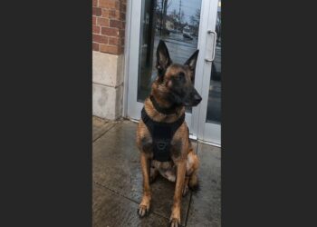 After Officer Thomas Vance Collapsed During Training, His K9 Partner Kept Returning to the Station Doors for Seven Days