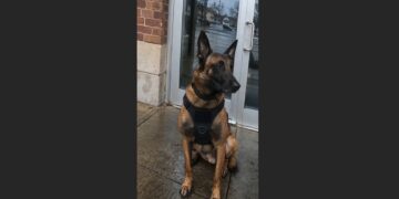 After Officer Thomas Vance Collapsed During Training, His K9 Partner Kept Returning to the Station Doors for Seven Days