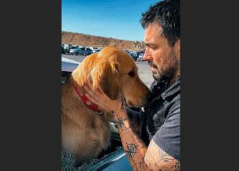 A Tattooed Biker Smashed a Car Window to Save a Dying Golden Retriever. Nobody Knew He Was Still Haunted by the Dog He Couldn’t Save Years Ago