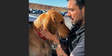 A Tattooed Biker Smashed a Car Window to Save a Dying Golden Retriever. Nobody Knew He Was Still Haunted by the Dog He Couldn’t Save Years Ago