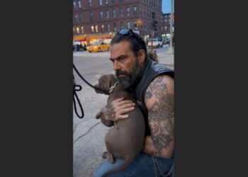A Biker Stopped a Man From Dragging a Helpless Dog Across the Street. When He Picked Her Up, the Little Dog Did Something That Made Everyone Go Quiet