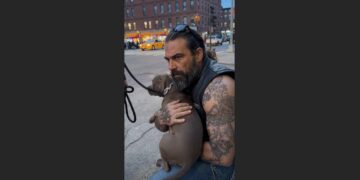 A Biker Stopped a Man From Dragging a Helpless Dog Across the Street. When He Picked Her Up, the Little Dog Did Something That Made Everyone Go Quiet