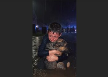 A Boy Refused to Let Rescuers Take His Bleeding Dog During a Flood. Then They Saw What He Was Hiding Beneath His Jacket