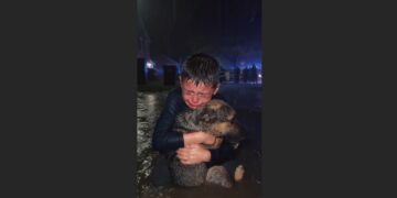 A Boy Refused to Let Rescuers Take His Bleeding Dog During a Flood. Then They Saw What He Was Hiding Beneath His Jacket
