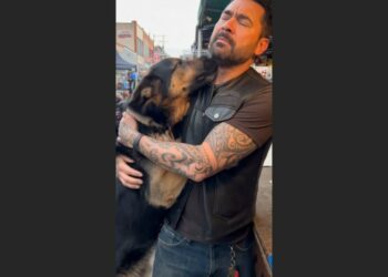 A Boy Begged a Stranger Not to Sell His Dog. Then a Tattooed Biker Stepped Forward and Said Two Words.