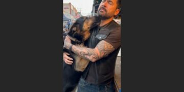 A Boy Begged a Stranger Not to Sell His Dog. Then a Tattooed Biker Stepped Forward and Said Two Words.