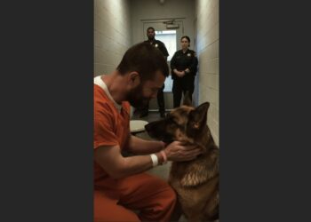 A Death Row Inmate Asked to See His Dog One Last Time. When the German Shepherd Walked Into the Prison, Even the Guards Struggled to Hold Back Tears