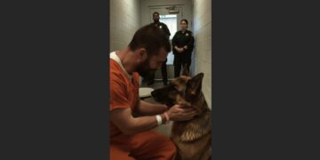 A Death Row Inmate Asked to See His Dog One Last Time. When the German Shepherd Walked Into the Prison, Even the Guards Struggled to Hold Back Tears