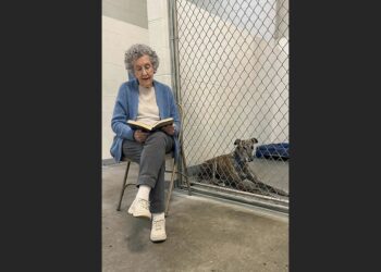 At 79, She Could No Longer Walk Shelter Dogs. So She Started Reading to Them—and One Frightened Greyhound Began to Change.
