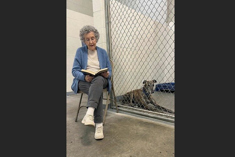 At 79, She Could No Longer Walk Shelter Dogs. So She Started Reading to Them—and One Frightened Greyhound Began to Change.